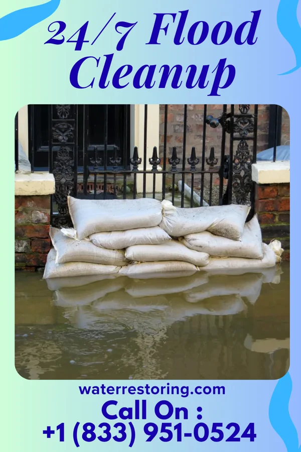 24/7 Flood Cleanup in Napili-Honokowai, HI