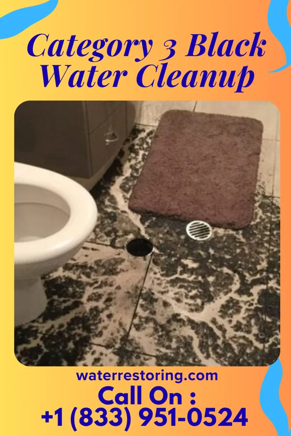 Category 3 Black Water Cleanup in Napili-Honokowai, HI