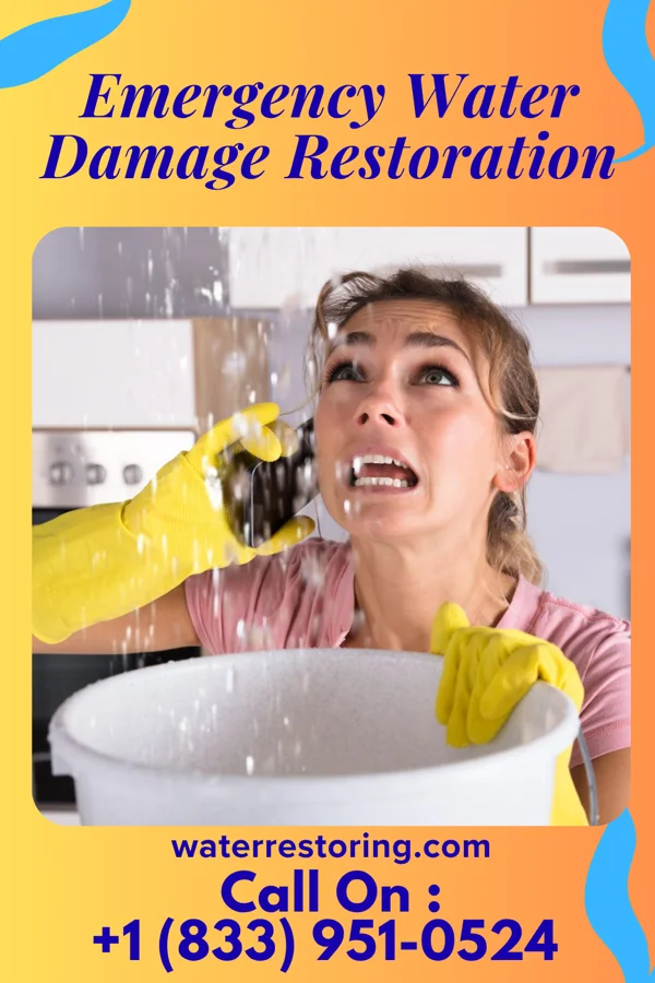 Emergency Water Damage Restoration in Napili-Honokowai, HI