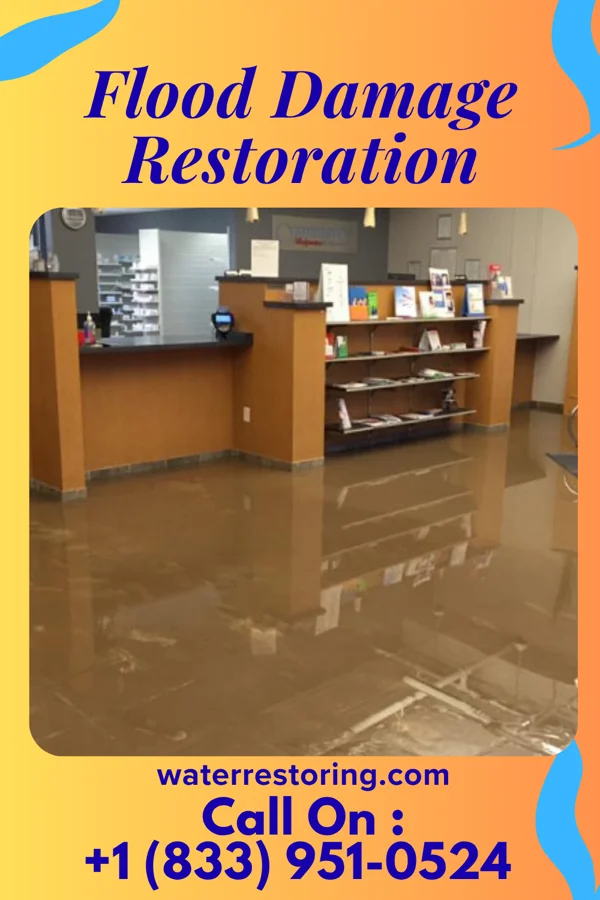 Flood Damage Restoration in Napili-Honokowai, HI