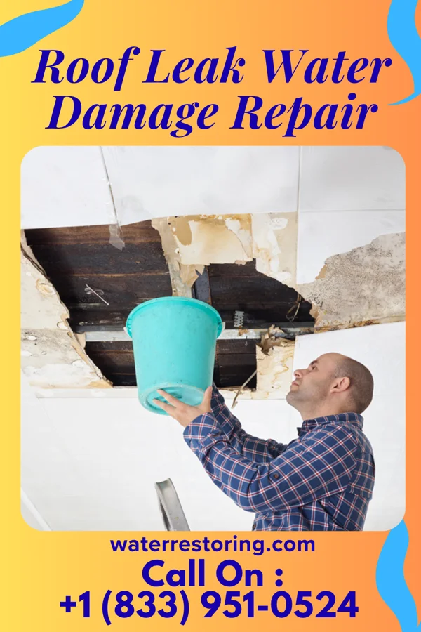 Roof Leak Water Damage Repair in Napili-Honokowai, HI