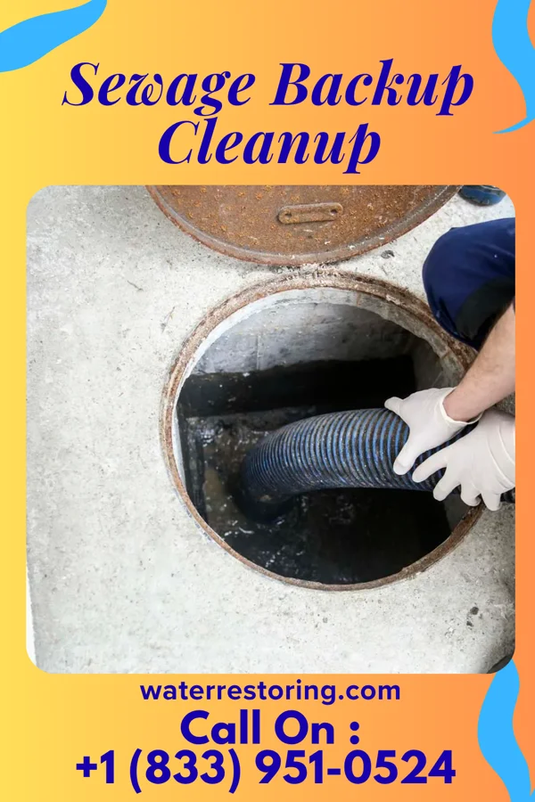 Sewage Backup Cleanup in Napili-Honokowai, HI