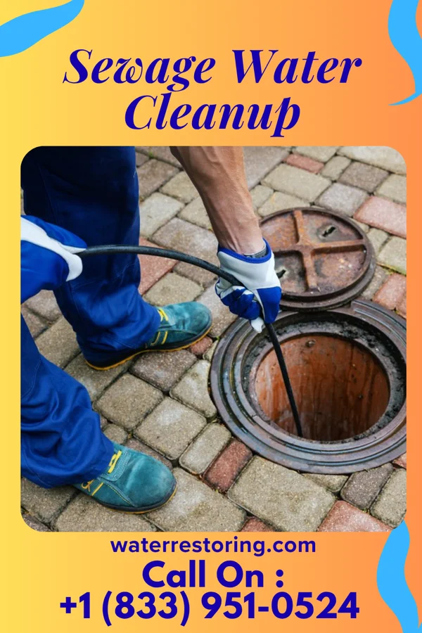 Sewage Water Cleanup in Napili-Honokowai, HI