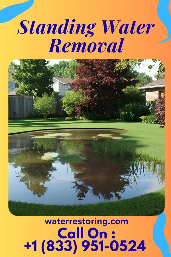 Standing Water Removal in Napili-Honokowai, HI